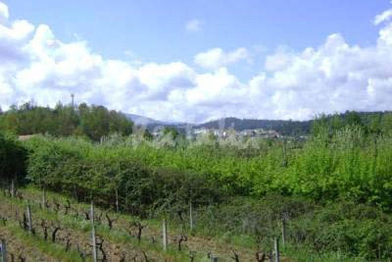Casa Rustica Villa Arganil Bagian luar foto